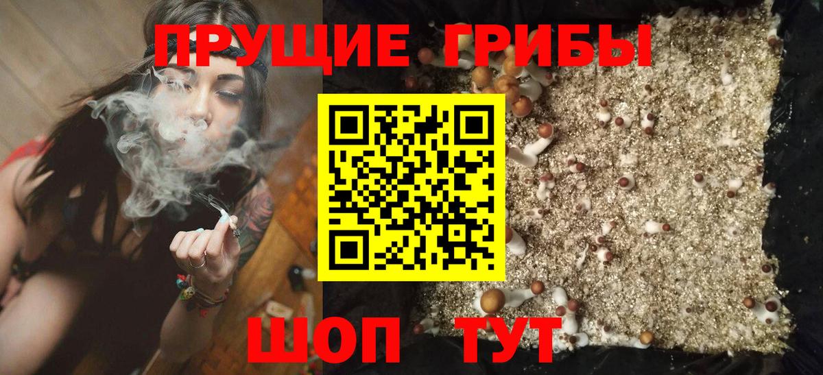 Псилоцибиновые грибы MAGIC MUSHROOMS Сердобск