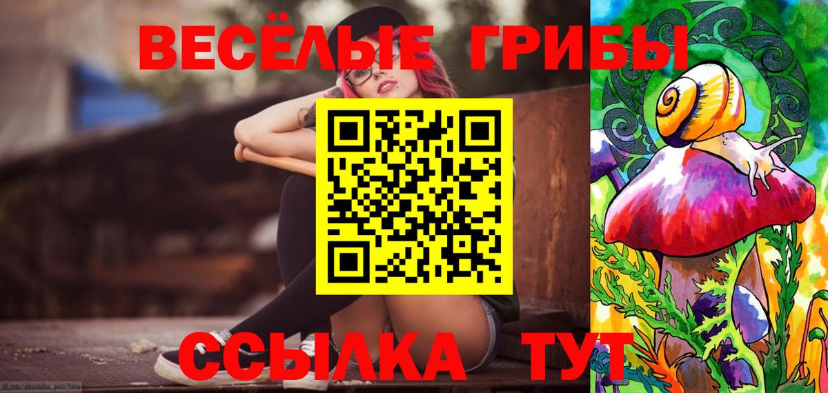 Псилоцибиновые грибы MAGIC MUSHROOMS  Вход с VPN  Сердобск 